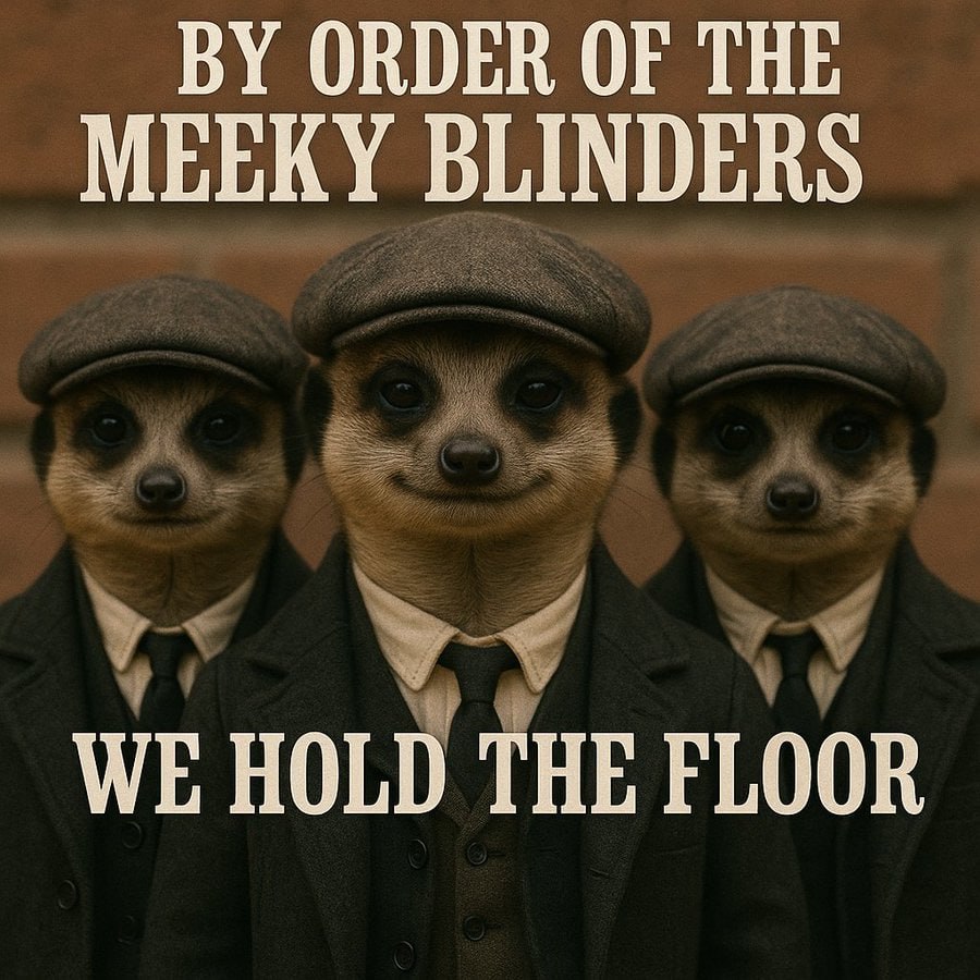 Template Image – $Meerkat Webflow Template